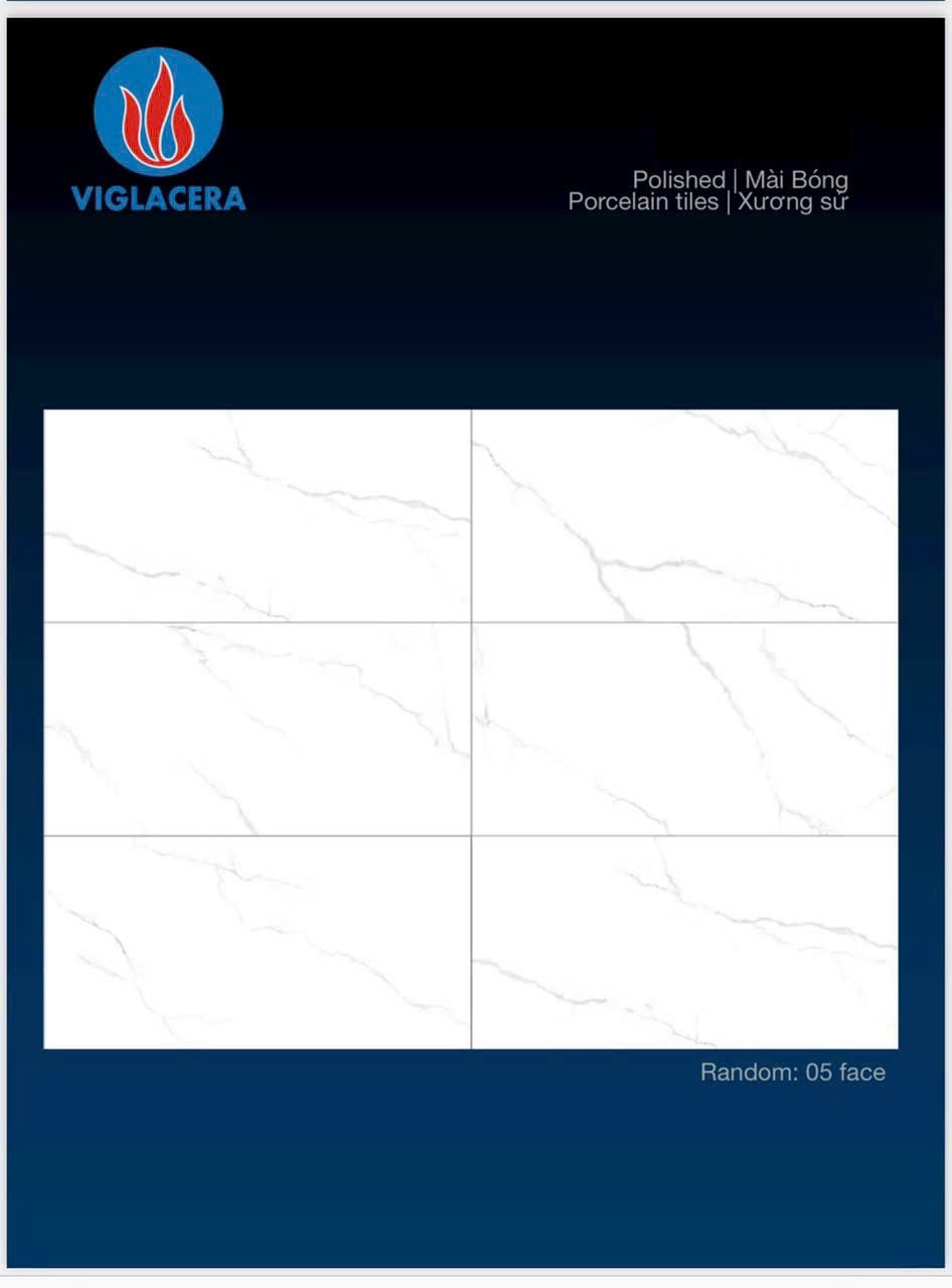 Gạch Vân Đá Viglacera 30x60 Bóng SH-GP3606